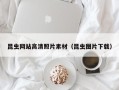巨野昆虫网站高清照片素材（昆虫图片下载）